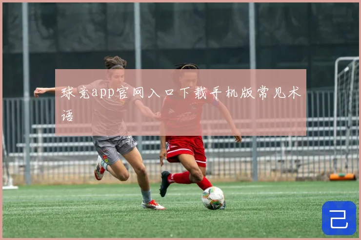 球竞app官网入口下载手机版常见术语