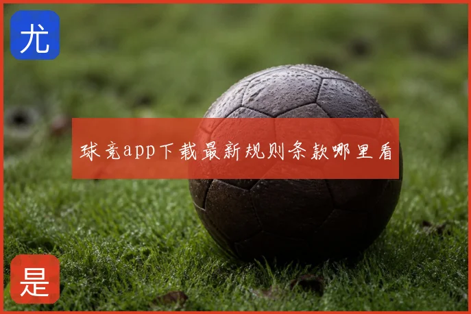 球竞app下载最新规则条款哪里看